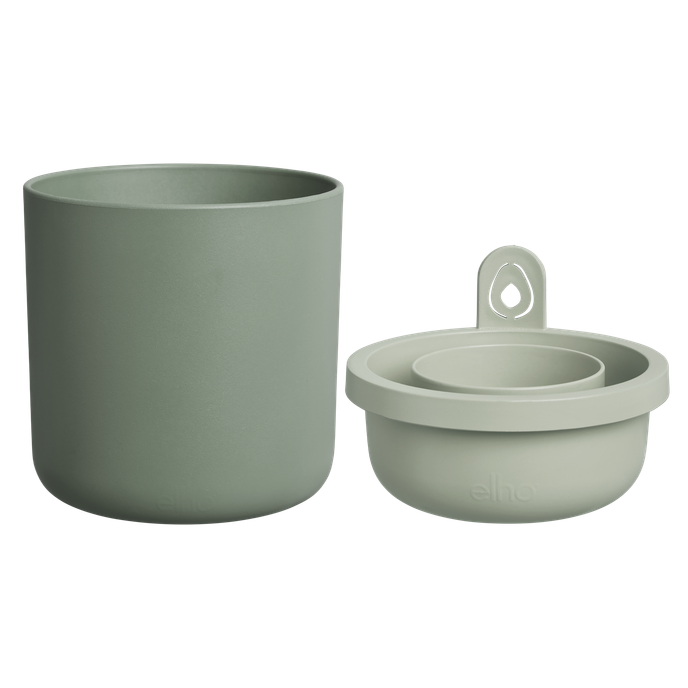 amazing avocado pot blad groen